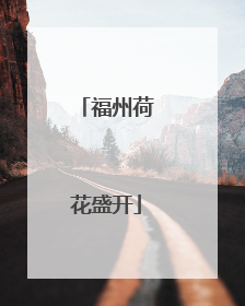福州荷花盛开