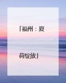 福州:夏荷绽放