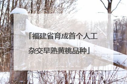 福建省育成首个人工杂交早熟黄桃品种