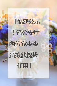 福建公示！省公安厅两位党委委员拟获提拔任用