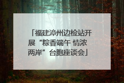 福建漳州边检站开展“粽香端午 情浓两岸”台胞座谈会