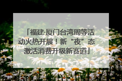 福建·厦门台湾周等活动火热开展！新“夜”态激活消费升级新赛道