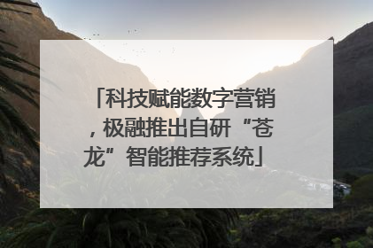 科技赋能数字营销，极融推出自研“苍龙”智能推荐系统
