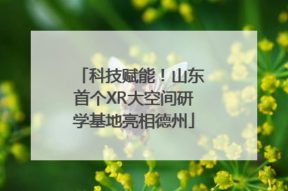 科技赋能！山东首个XR大空间研学基地亮相德州