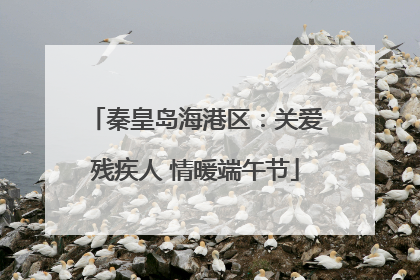 秦皇岛海港区：关爱残疾人 情暖端午节