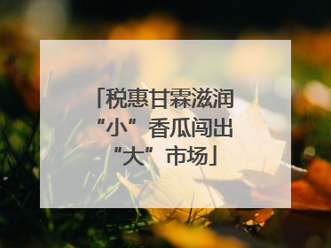 税惠甘霖滋润“小”香瓜闯出“大”市场
