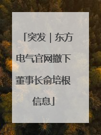 突发｜东方电气官网撤下董事长俞培根信息