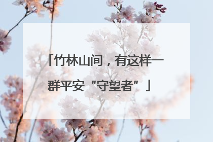 竹林山间，有这样一群平安“守望者”