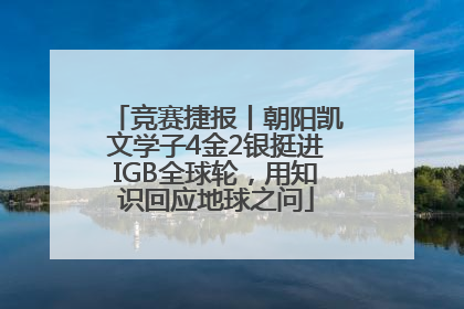 竞赛捷报丨朝阳凯文学子4金2银挺进IGB全球轮，用知识回应地球之问