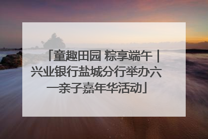 童趣田园 粽享端午｜兴业银行盐城分行举办六一亲子嘉年华活动