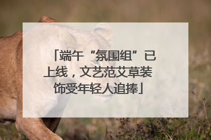 端午“氛围组”已上线，文艺范艾草装饰受年轻人追捧