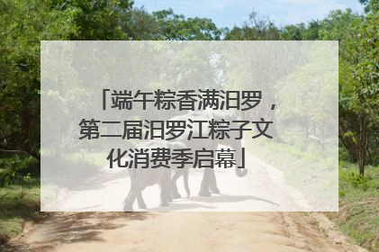 端午粽香满汨罗，第二届汨罗江粽子文化消费季启幕