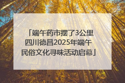 端午药市摆了3公里 四川德昌2025年端午民俗文化寻味活动启幕