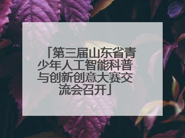 第三届山东省青少年人工智能科普与创新创意大赛交流会召开