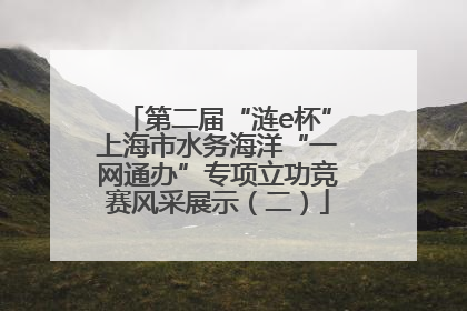 第二届“涟e杯”上海市水务海洋“一网通办”专项立功竞赛风采展示（二）