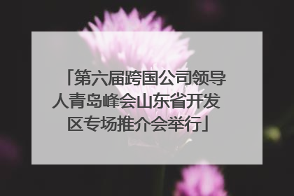 第六届跨国公司领导人青岛峰会山东省开发区专场推介会举行