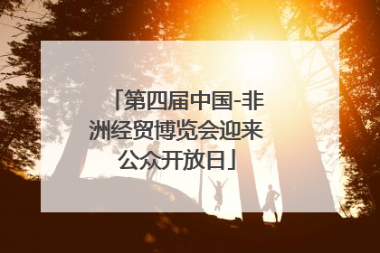 第四届中国-非洲经贸博览会迎来公众开放日