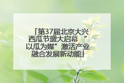第37届北京大兴西瓜节盛大启幕 “以瓜为媒”激活产业融合发展新动能