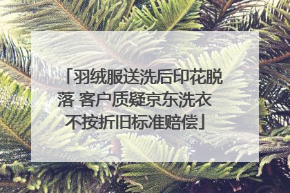 羽绒服送洗后印花脱落 客户质疑京东洗衣不按折旧标准赔偿