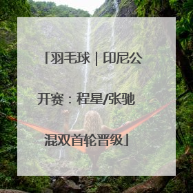 羽毛球｜印尼公开赛：程星/张驰混双首轮晋级