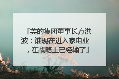 美的集团董事长方洪波:谁现在进入家电业,在战略上已经输了