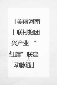 美丽河南丨联村抱团兴产业 “红旗”联建动脉通