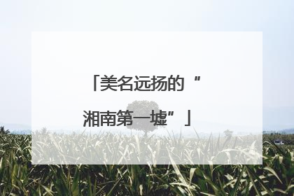 美名远扬的“湘南第一墟”
