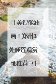美得像油画！郑州3处睡莲观赏地推荐→