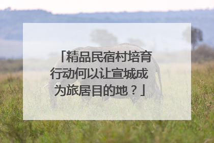 精品民宿村培育行动何以让宣城成为旅居目的地？