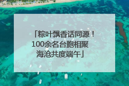 粽叶飘香话同源！100余名台胞相聚海沧共度端午