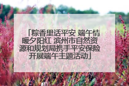粽香里话平安 端午情暖夕阳红 滨州市自然资源和规划局携手平安保险开展端午主题活动