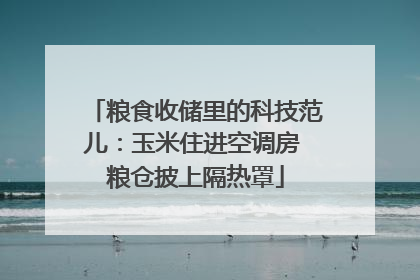粮食收储里的科技范儿：玉米住进空调房 粮仓披上隔热罩