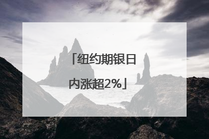 纽约期银日内涨超2%