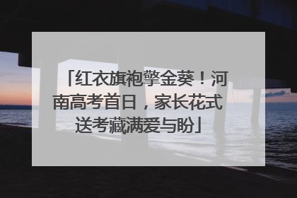 红衣旗袍擎金葵!河南高考首日,家长花式送考藏满爱与盼