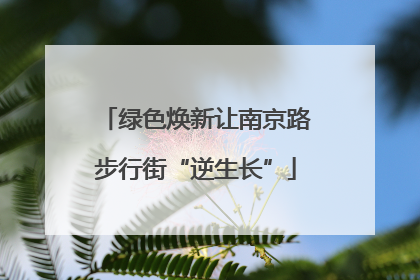 绿色焕新让南京路步行街“逆生长”