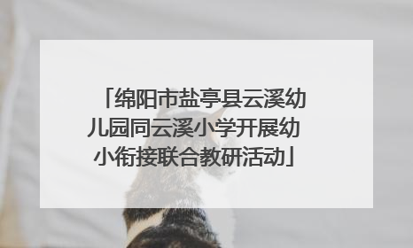 绵阳市盐亭县云溪幼儿园同云溪小学开展幼小衔接联合教研活动