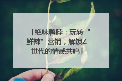绝味鸭脖：玩转“鲜辣”营销，解锁Z世代的情感共鸣