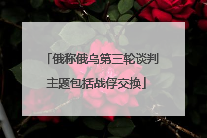 俄称俄乌第三轮谈判主题包括战俘交换