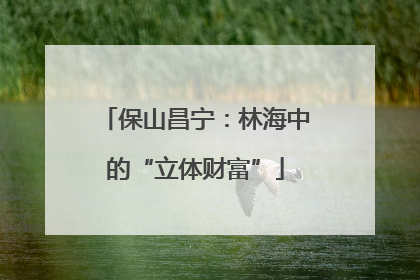 保山昌宁：林海中的“立体财富”