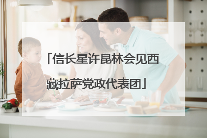 信长星许昆林会见西藏拉萨党政代表团