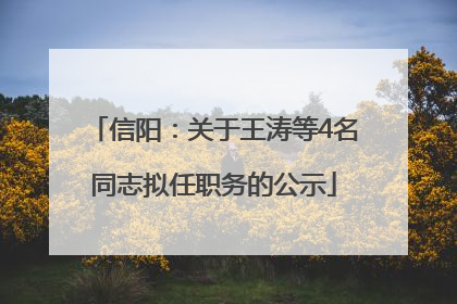 信阳：关于王涛等4名同志拟任职务的公示
