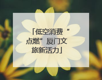低空消费“点燃”厦门文旅新活力