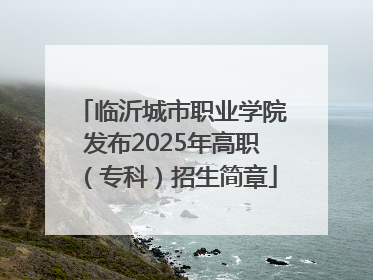 临沂城市职业学院发布2025年高职（专科）招生简章