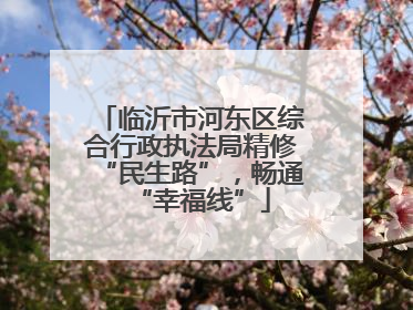 临沂市河东区综合行政执法局精修“民生路”，畅通“幸福线”