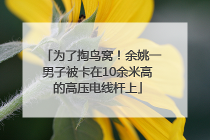 为了掏鸟窝！余姚一男子被卡在10余米高的高压电线杆上