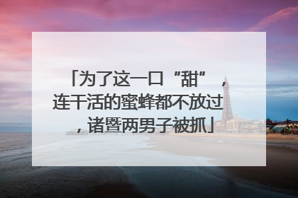 为了这一口“甜”，连干活的蜜蜂都不放过，诸暨两男子被抓