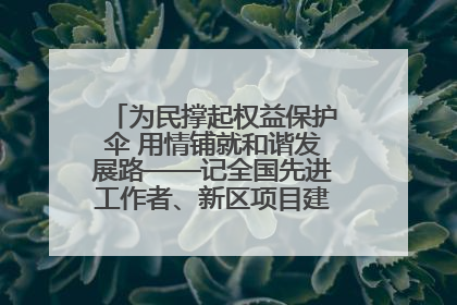 为民撑起权益保护伞 用情铺就和谐发展路——记全国先进工作者、新区项目建设中心干部卢小勇