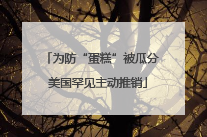 为防“蛋糕”被瓜分 美国罕见主动推销