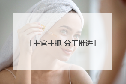 主官主抓 分工推进