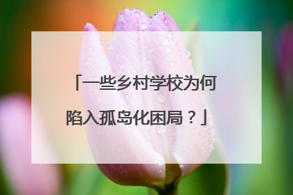 一些乡村学校为何陷入孤岛化困局？